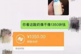 丽水为什么选择专业追讨公司来处理您的债务纠纷？